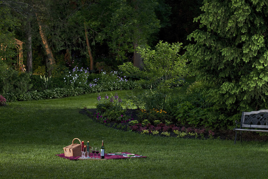 Wine and Cheese on the Lawn